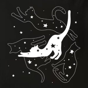 naktiniai su katinais